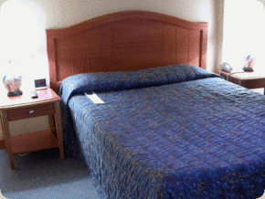 Diana Plaza Hotel - Tourism Canberra 3