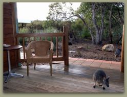 Kangaroo Island Wilderness Resort - Tourism Canberra 1