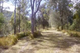 Toms Creek Retreat - Tourism Canberra 1