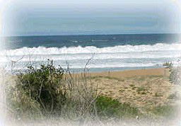 Hardys Bay NSW Tourism Canberra
