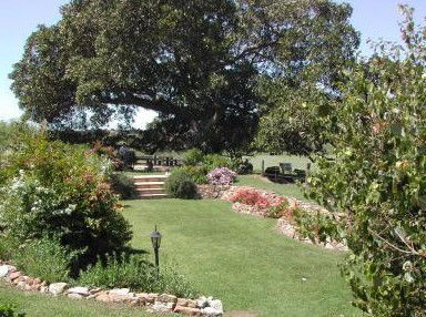 Maddies Of Bolwarra - Tourism Canberra 1