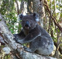 O'Carrollyns At One Mile Beach - Tourism Canberra