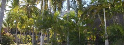 Pine Tree Motel - Tourism Canberra 2