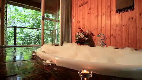 Tree Houses Of Montville - Tourism Canberra 0