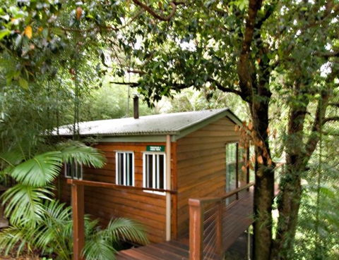 Tree Houses Of Montville - Tourism Canberra 2