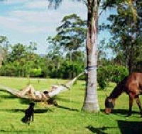 Neds Bed Horse O Tel - Tourism Canberra