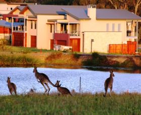 Grand Mercure The Vintage Hunter Valley - Tourism Canberra 0