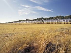 Port Wakefield Motel - Tourism Canberra 0