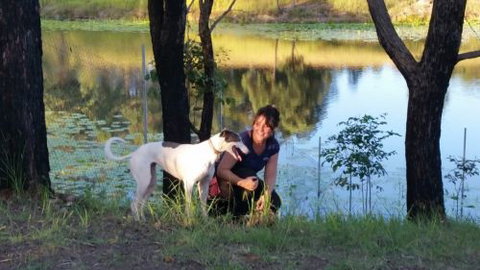 Wingham Pet Motel - Tourism Canberra 2