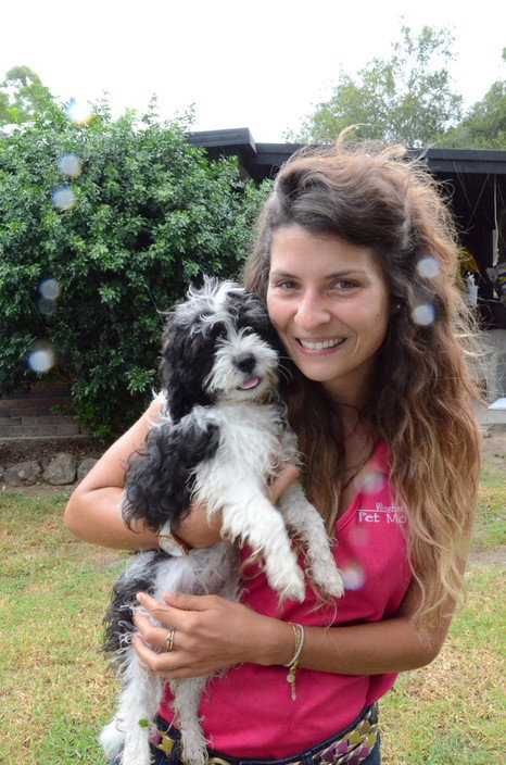 Wingham Pet Motel - Tourism Canberra 5