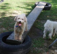 Beenleigh Pet Motel - Tourism Canberra