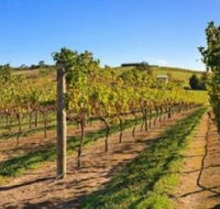 DeVine Escape - Tourism Canberra