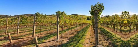 DeVine Escape - Tourism Canberra 0