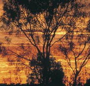 Tilmouth Well - Tourism Canberra