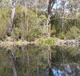 Sanctuary House Resort Motel - Healesville - Tourism Canberra 5