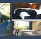 The Albany - Tourism Canberra