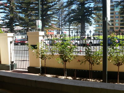 Grandview House Apartments - Tourism Canberra 5