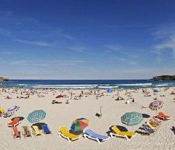 Noahs Bondi Beach - Tourism Canberra 3