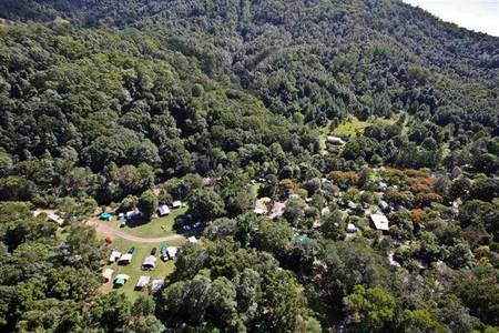 Mount Warning Rainforest Park - Tourism Canberra 3