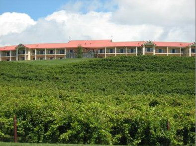 Turners Vineyard - Tourism Canberra 4