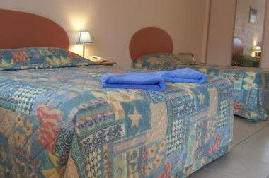 Twin Pines Motel - Tourism Canberra 2