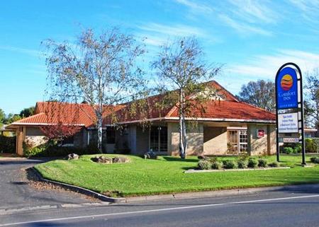 Comfort Inn Silver Birch - Tourism Canberra 0