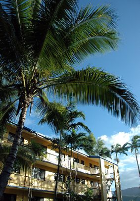Palms At Trinity - Tourism Canberra 3