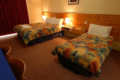 Barossa Motor Lodge - Tourism Canberra 4