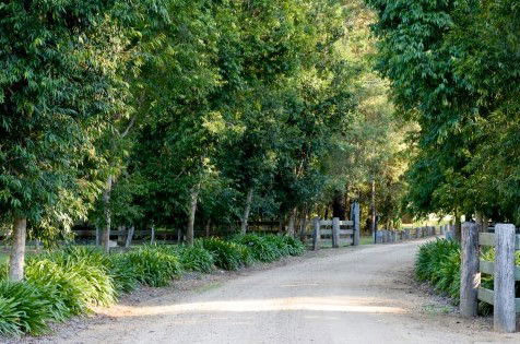 The Plantation - Tourism Canberra 0