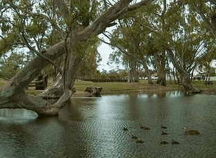 Bordertown Abode Parkland Motel - Tourism Canberra 2