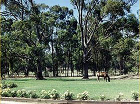 Saratoga Lodge - Tourism Canberra 0