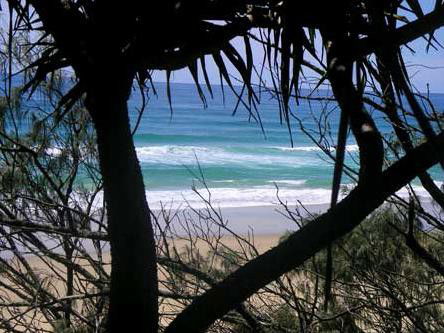 Teewah Beach Escapes - Tourism Canberra 4