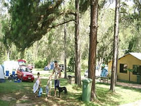 Glasshouse Mountains Holiday Village - Tourism Canberra 0