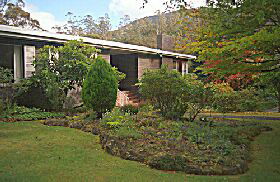 Fern Tree TAS Tourism Canberra