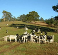St Columba Cottage - Tourism Canberra