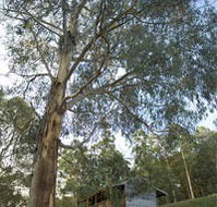 Outpost Restaurant - Tourism Canberra
