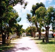 Bathers Paradise Caravan Park - Tourism Canberra