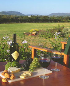 Tranquil Vale Vineyard Cottages - Tourism Canberra 0