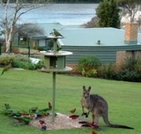 Gipsy Point Lakeside - Tourism Canberra