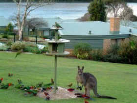 Gipsy Point Lakeside - Tourism Canberra 0