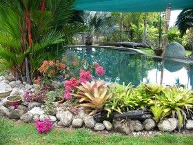 Daintree Wild Bed And Breakfast - Tourism Canberra 0