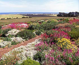 Tower Hill VIC Tourism Canberra