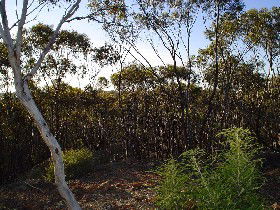 Wannamal ACT Tourism Canberra