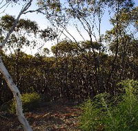 Lions Dryandra Woodlands Village - Tourism Canberra