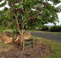 Belle Vue Studio - Tourism Canberra