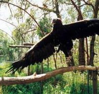 Curlew Hill Sanctuary - Tourism Canberra