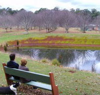 Chestnut Glade - Tourism Canberra