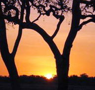 Coodardie Station Stay - Tourism Canberra