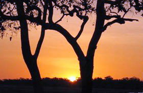 Coodardie Station Stay - Tourism Canberra 0