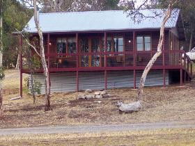 Ivybrook Vineyard Cottage - Tourism Canberra 0
